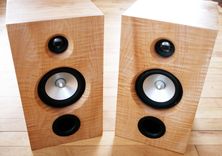 Custom Loudspeakers 1 small