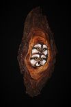 Wood Owl Wall Sculpture 5 small