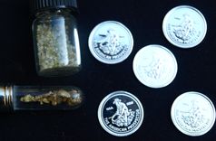 The Treasure Walking Stick 2 small