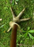 Eagle Claw Cane 1 small