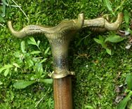 Eagle Claw Cane 2 small