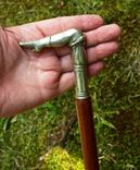 Elegant Lady's Cane 5 small