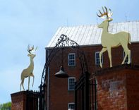 Gold-Plated Deer Sculptures 9 small