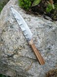 Kitchen Knife 2 small