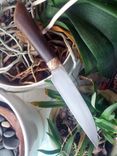 Maple Slicer 1 small