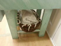 Sold Shabby Bathroom Vanity 4 small