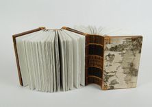 Dos-À-Dos - Double Journal Wood Book - Birch Bark 4 small
