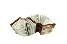 Dos-À-Dos - Double Journal Wood Book - Birch Bark 1 small