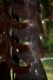 Steel Fountain 7 small