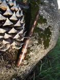 Walnut And Manzanita Knife With Cherry Accents 1 small