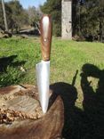 Claro Walnut Vegetable Knife 3 small
