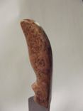 Cherry Burl  Drop Point Knife 4 small