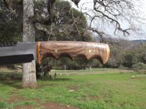 12" Croc Hunter With Claro Walnut And Cherry Burl Accent. 3 small