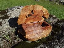 Redwood Root Burl Keepsake Box 5 small