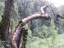 Travel Photos 4 small