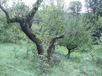 Travel Photos 3 small