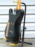 Solidbody Electric Guitar/ Tele-Monster 5 small