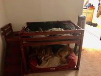 Doggie Bunk Bed 2 small