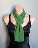 Green Chiffon Scarf 1 small