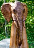 Tree Stump Carvings 1 small