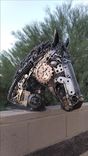 Reclaimed Metal Horse Head 1 small