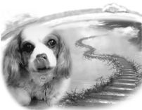 Portraits,Custom Portraits, Pet Portrait, Child Portrait,Memorial Art,Christmas Gift Ideas 4 small