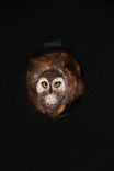 Owl Wall Art 5 small