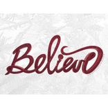 Crystallized Believe Sign Genuine European Crystals Mantle Christmas Bling Decor Plaque Bedazzled 1 small