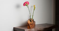 Life On Mars Propagation Vase 5 small