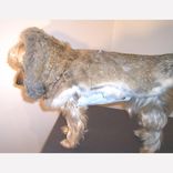 Dog Coat And Harness 3 small