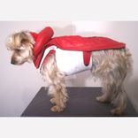 Leather Dog Coat And Harness 1 small