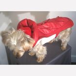 Leather Dog Coat And Harness 2 small