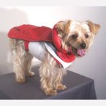 Leather Dog Coat And Harness 4 small