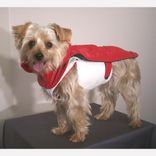 Leather Dog Coat And Harness 5 small