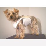 Leather Dog Coat And Harness 6 small