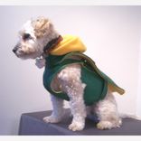 Packer Dog Coat 1 small