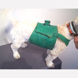 Packer Dog Coat 4 small
