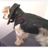Leather Dog Coat And Harness 1 small