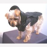 Leather Dog Coat And Harness 2 small