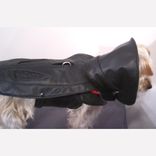 Leather Dog Coat And Harness 4 small