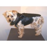 Leather Dog Coat And Harness 5 small