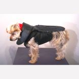 Leather Dog Coat And Harness 6 small