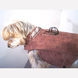 Dog Coat And Harness 2 small