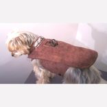 Dog Coat And Harness 3 small