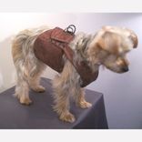 Dog Coat And Harness 4 small