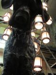 Hand Forged Chandeliers, Lanterns And Drum Lights 7 small