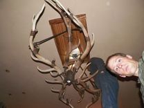Shed Elk Antler Chandelier 4 small