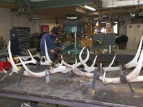 Shed Elk Antler Chandelier 5 small