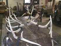 Shed Elk Antler Chandelier 9 small