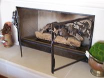 Vineyard Fireplace Doors 2 small